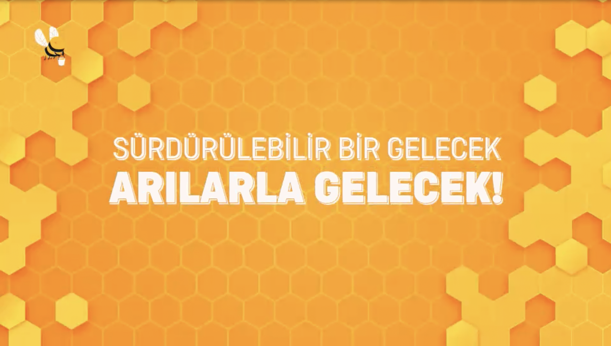 Sürdürülebilir Bir Gelecek Arılarla Gelecek