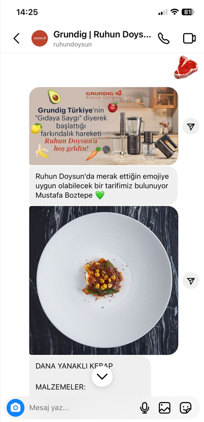 Grundig Ruhun Doysun Chatbot Projesi