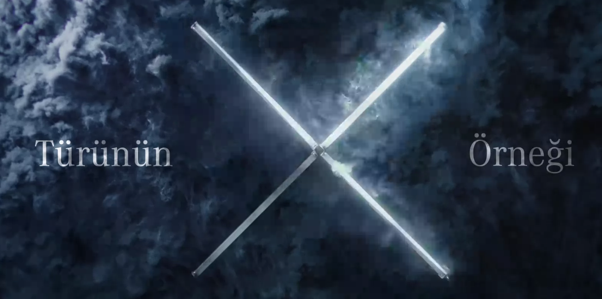 Türünün X Örneği