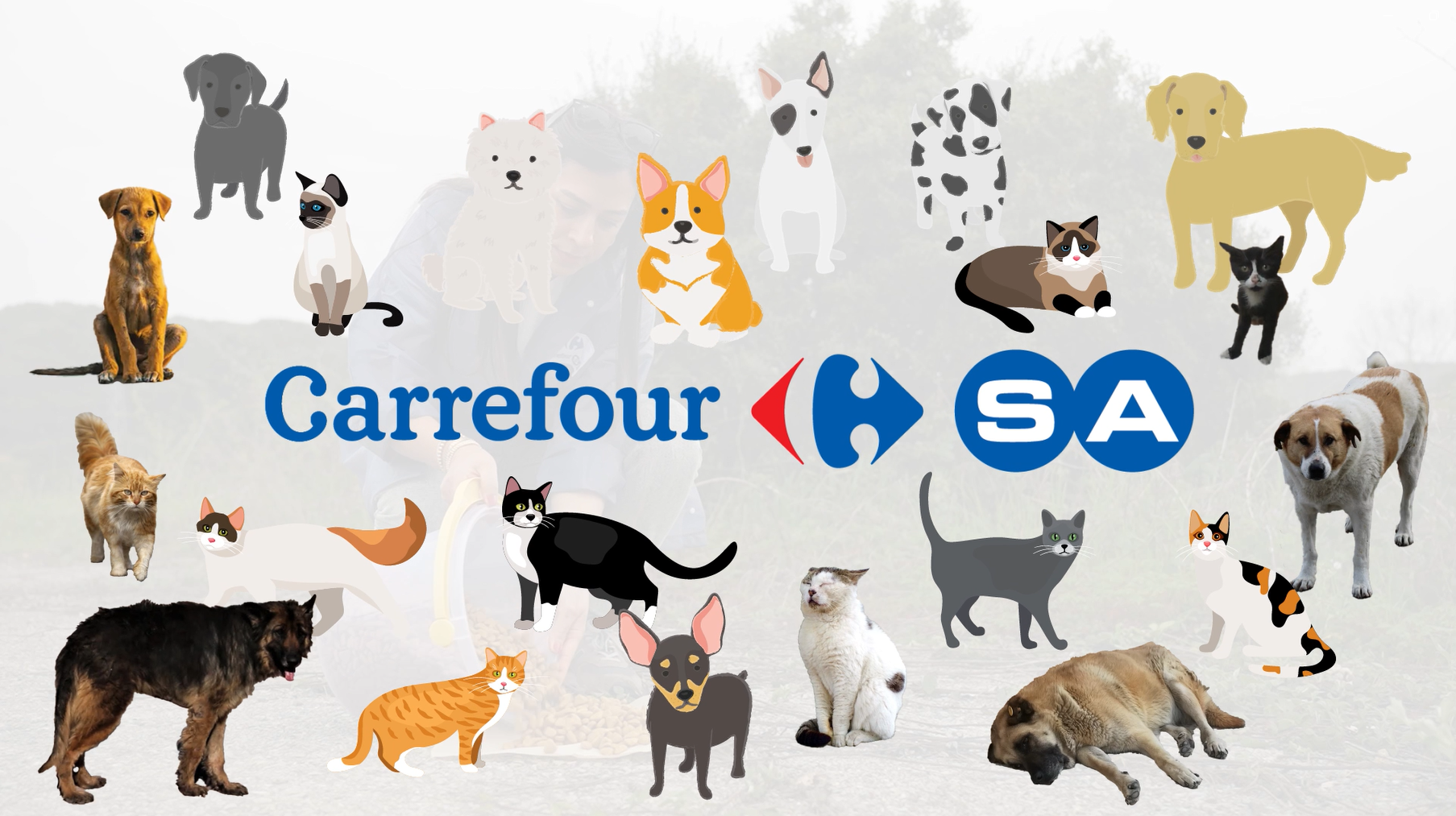 CarrefourSA Sokak Hayvanlarının Yanında