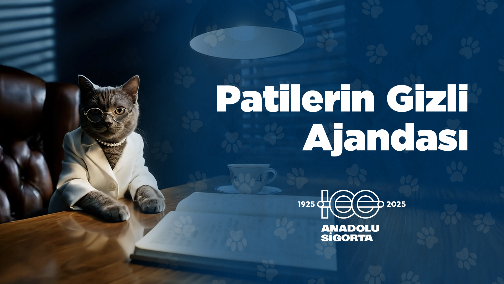 Anadolu Sigorta-Patilerin Gizli Ajandası