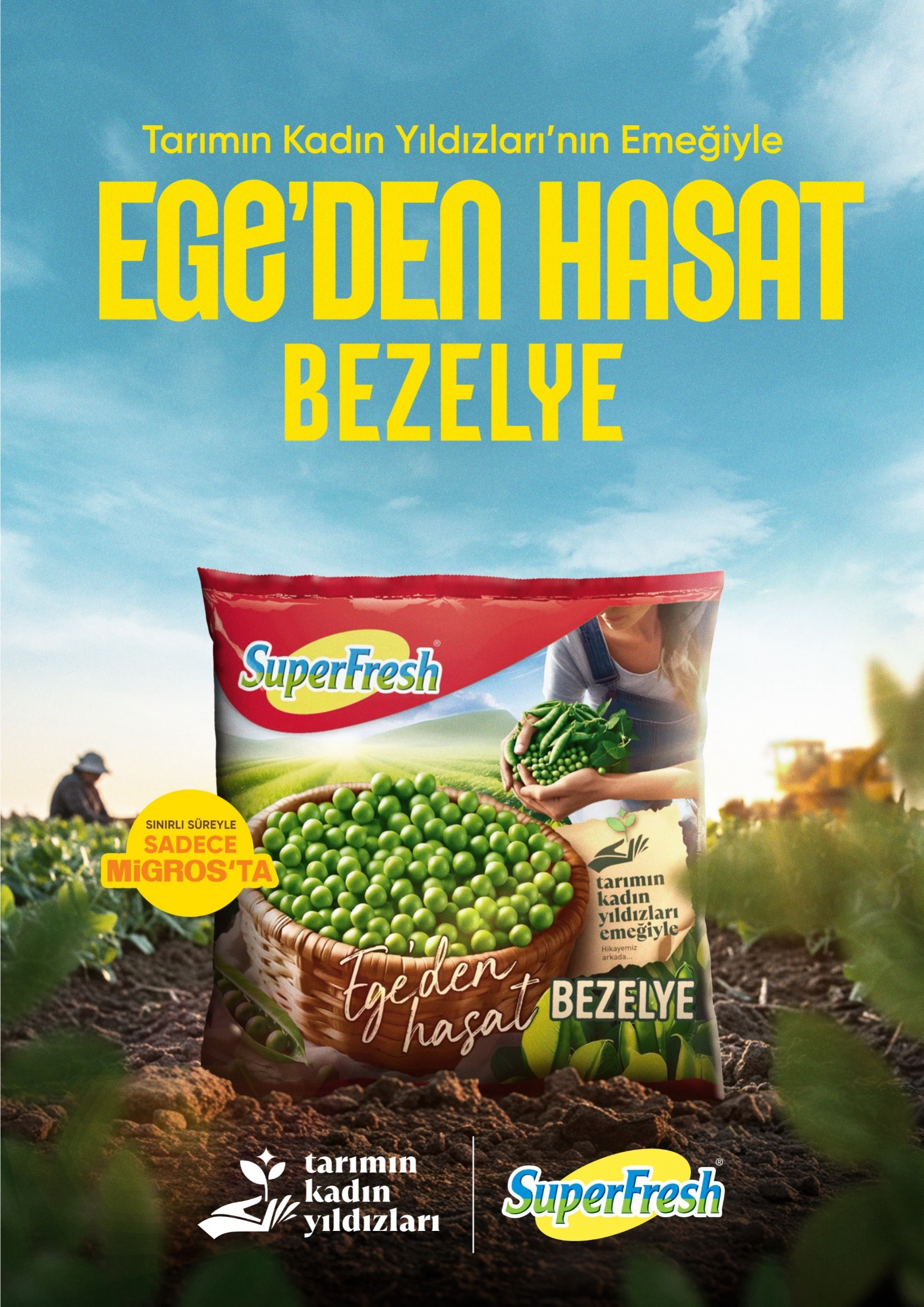 Tarımın Kadın Yıldızları – Ege’den Hasat Bezelye